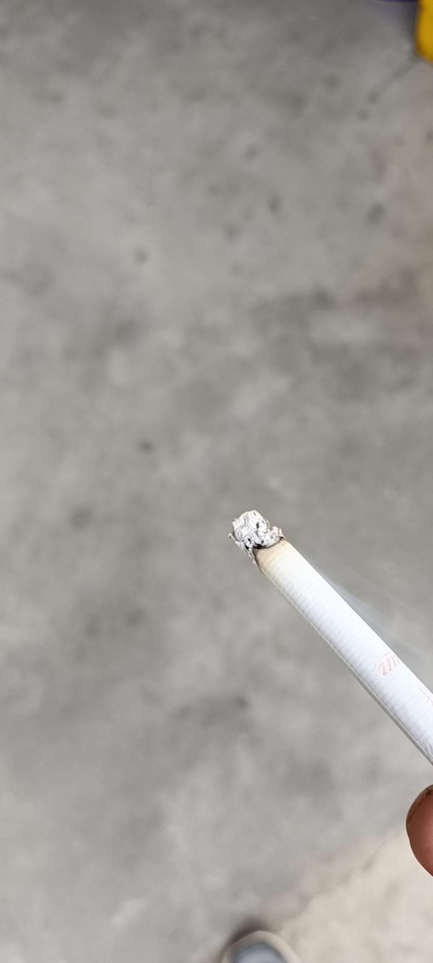 螺丝商学院回答