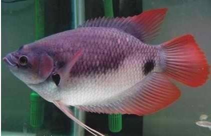 螺丝知道正能量