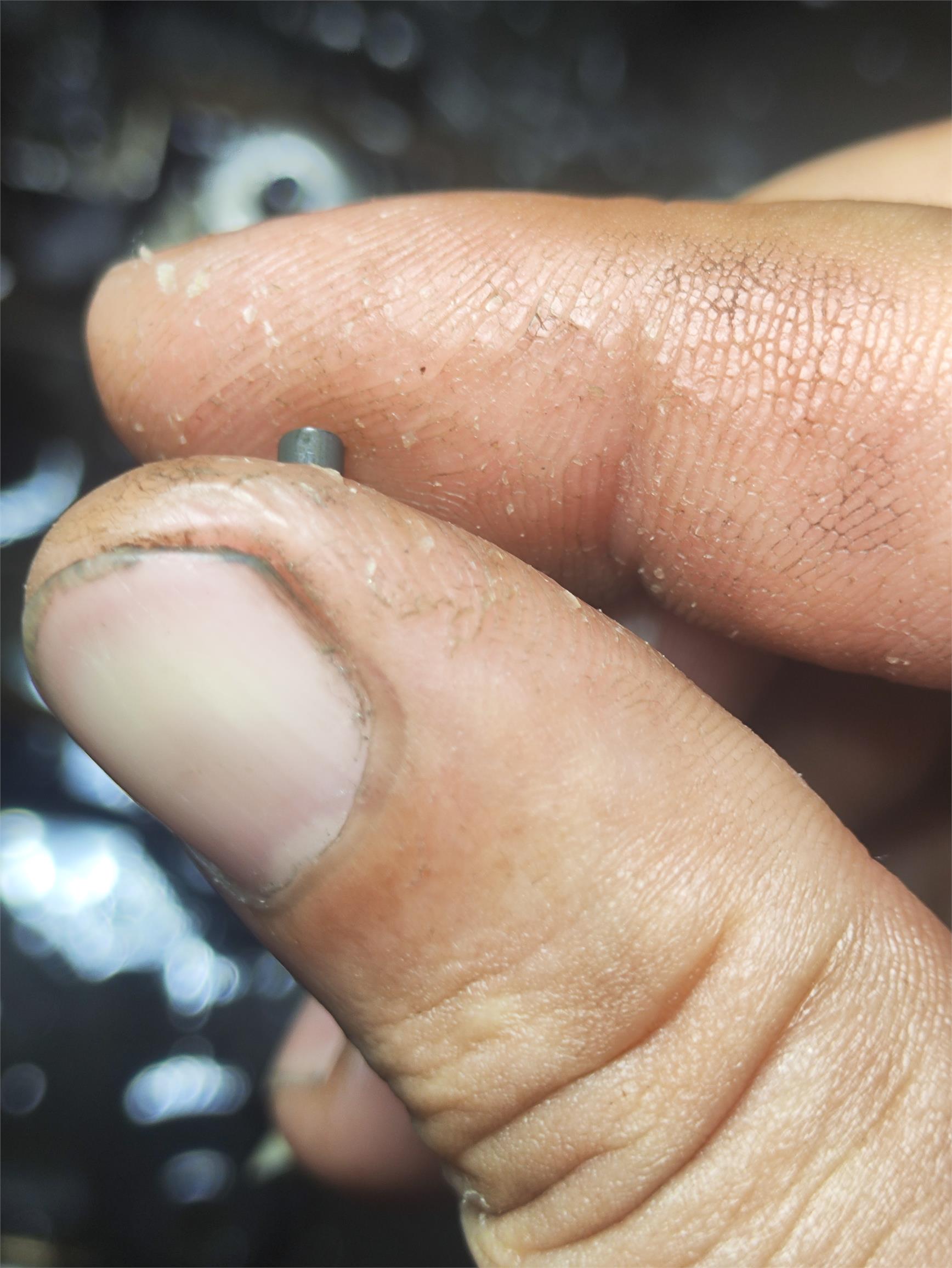 螺丝商学院回答